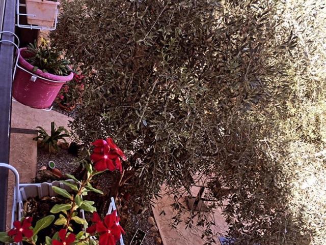 Bella Casetta Guest House Famagusta  Exterior photo